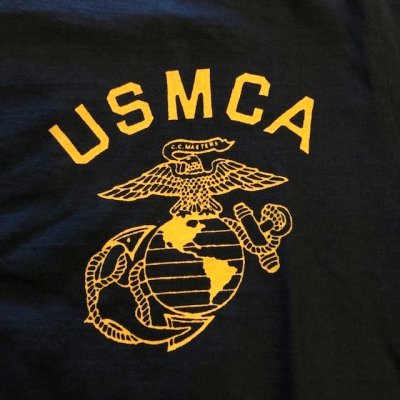 画像6: フェローズ　プリントTシャツ　ＵＳＭＣＡ－Ｔ