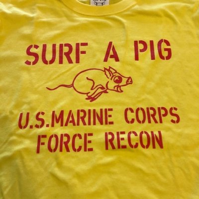 画像2: SURF A PIG（サーフ ア ピッグ）　プリントTシャツ　ST－２２
