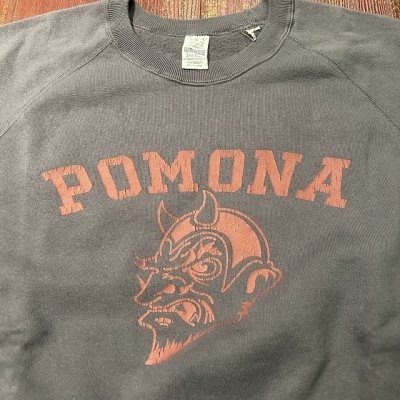 画像4: ウエアハウス　プリントスウェット　４６１ーPOMONA