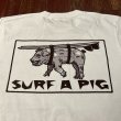 画像4: SURF A PIG（サーフアピッグ）　プリントTシャツ　ST－８ (4)
