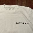 画像2: SURF A PIG（サーフアピッグ）　プリントTシャツ　ST－８ (2)