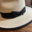 画像6: THE H.W. DOG&Co.（エイチダブリュードッグ） ポイントパナマ　G3　Ｄー０１０４０ (6)