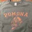 画像4: ウエアハウス　プリントスウェット　４６１ーPOMONA (4)